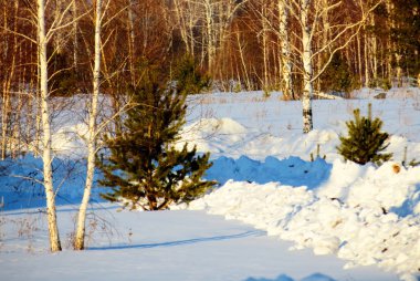 Doğa Altaya göz memnun eder.
