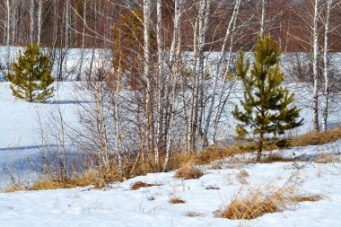 Doğa Altaya göz memnun eder.