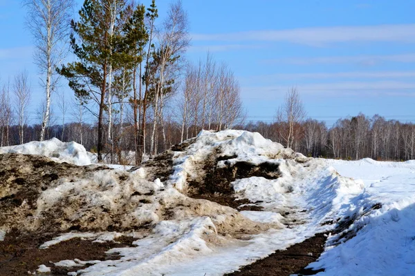 Natur Altaya behagar ögat — Stockfoto