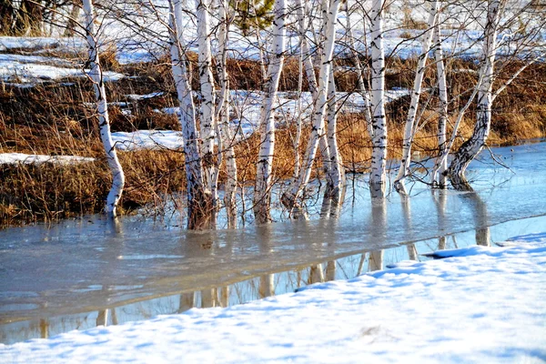 Nature Altaya plaît aux yeux — Photo