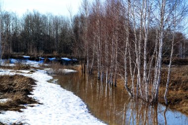  Doğa Altaya göz memnun eder.