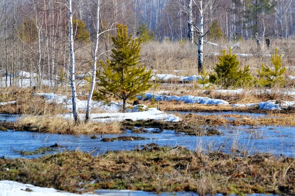 Nature Altaya plaît aux yeux — Photo