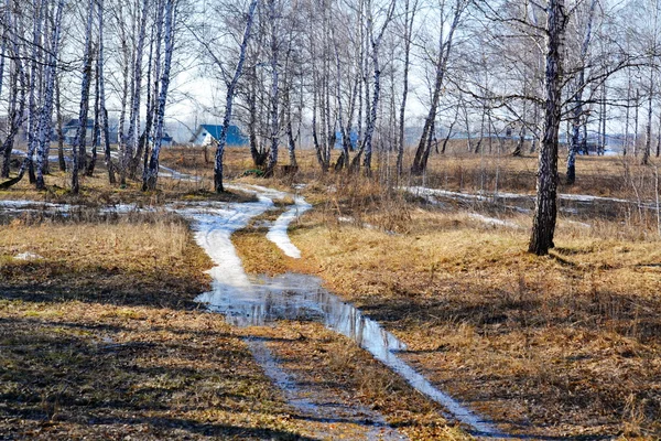 Natuur Altaya bevalt oog — Stockfoto