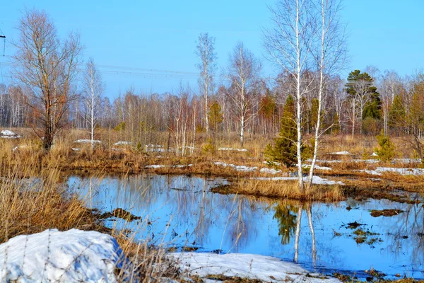 Naturaleza Altaya agrada a la vista Imagen de stock