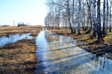  Doğa Altaya göz memnun eder.