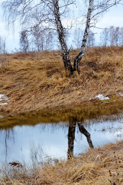 自然 Altaya は、目を喜ばす — ストック写真