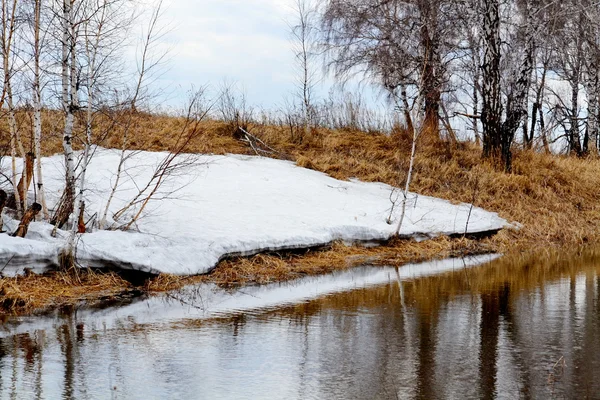 Natura Altaya cieszy oko — Zdjęcie stockowe