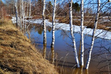  Doğa Altaya göz memnun eder.