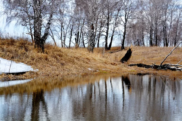 Altaya přírody potěší oko — Stock fotografie