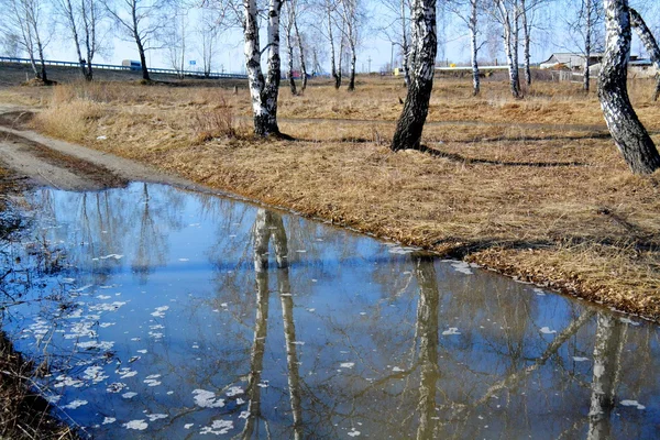 Altaya přírody potěší oko — Stock fotografie