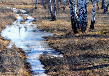  Doğa Altaya göz memnun eder.