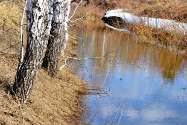  Doğa Altaya göz memnun eder.