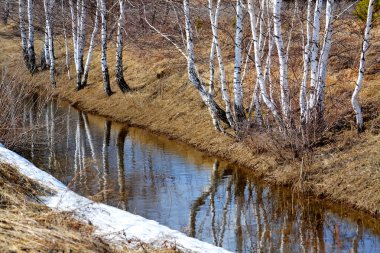  Doğa Altaya göz memnun eder.