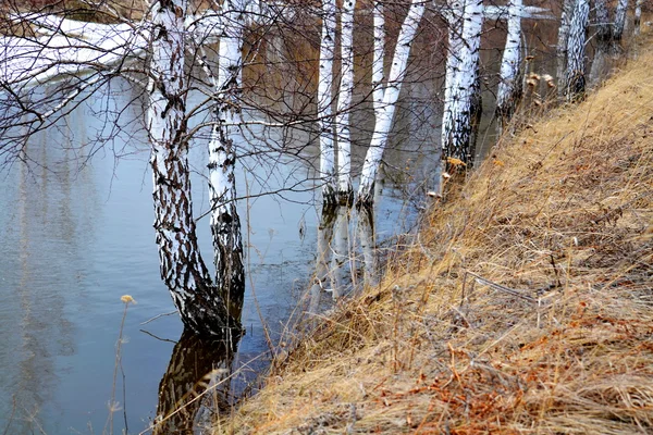 Altaya přírody potěší oko — Stock fotografie