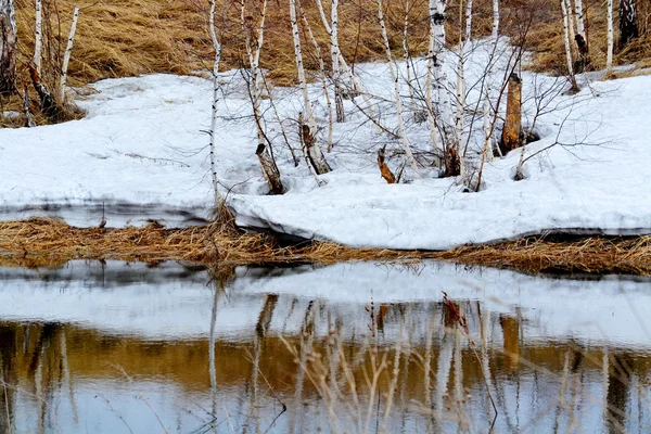 Nature Altaya plaît aux yeux — Photo