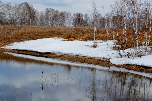 Doğa Altaya göz memnun eder. — Stok fotoğraf