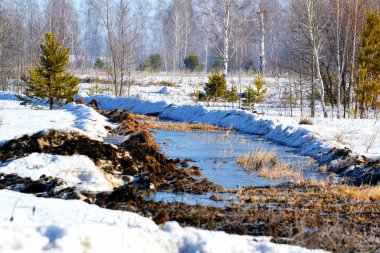 Doğa Altaya göz memnun eder.