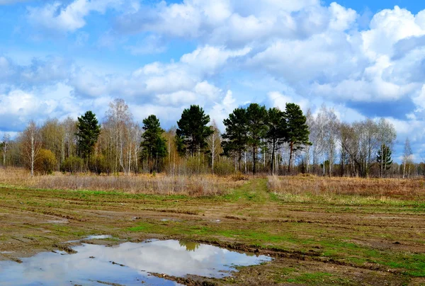 Natuur Altaya bevalt oog — Stockfoto