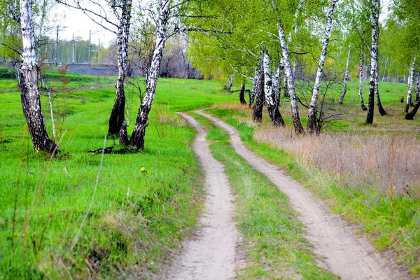 Viejos caminos Altaya —  Fotos de Stock