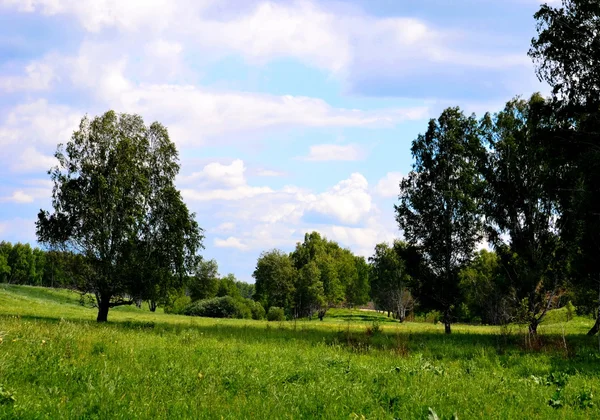 Natuur Altaya bevalt oog — Stockfoto