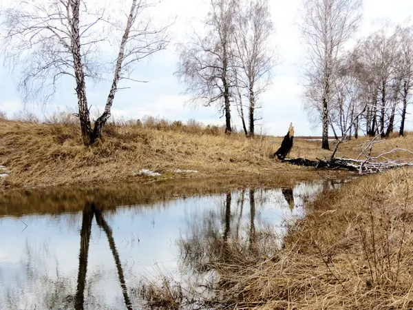 Nature Altaya plaît à l'œil de l'artiste en toute saison de l'année — Photo