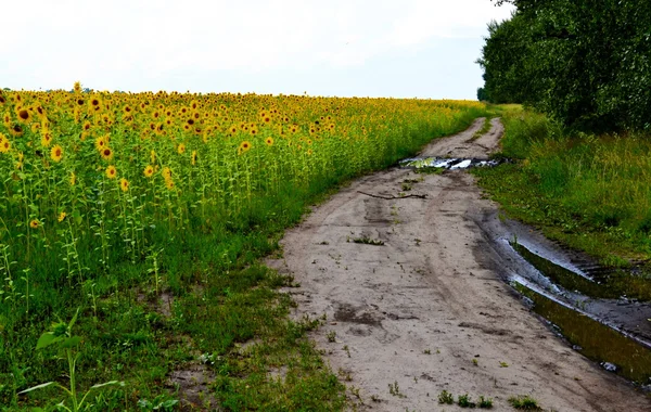 Vecchie strade Altaya — Foto Stock