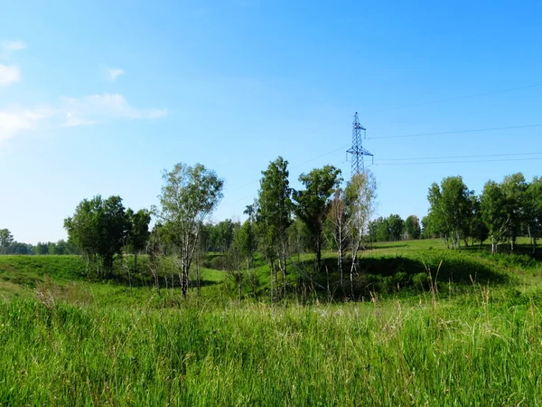 Natuur Altaya bevalt natuur Altaya bevalt — Stockfoto