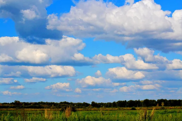 Natur altaya gefällt natur altaya gefällt — Stockfoto