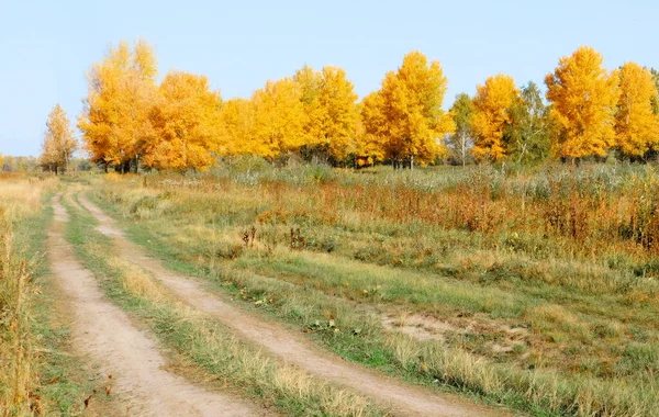 Природа Альтая Радує Око Художника Подорож — стокове фото