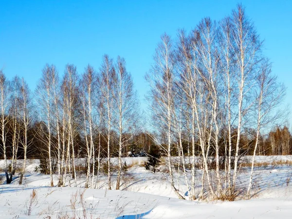 Natuur Altaya Behaagt Het Oog Van Kunstenaar Travellier — Stockfoto
