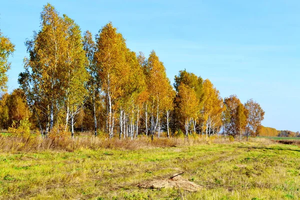 Natura Altaya Piace All Occhio Dell Artista Viaggiatore — Foto Stock