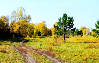 Doğa Altaya sanatçının gözünü memnun ediyor, gezgin.