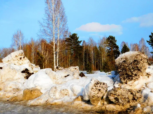 Naturen Altaya Behagar Ögat Konstnären Travellier — Stockfoto