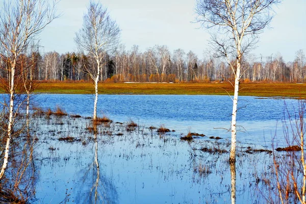 Die Natur Altaya Erfreut Das Auge Des Künstlers Reisenden — Stockfoto