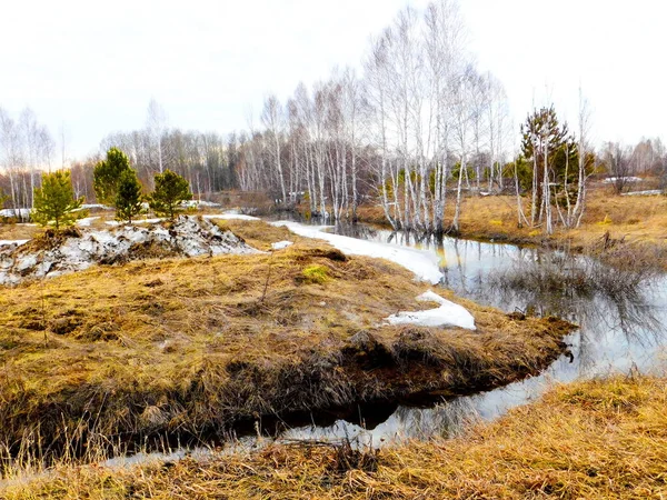 Die Natur Altaya Erfreut Das Auge Des Künstlers Reisenden — Stockfoto