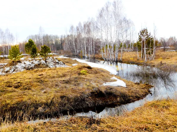 Nature Altaya Cieszy Oko Artysty Travellier — Zdjęcie stockowe