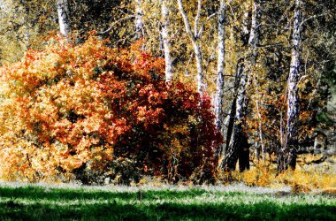  Manzaralar ahşap ve bozkırlar Altaya lütfen ressamın gözü