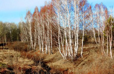        Doğa Altaya sanatçının gözünü memnun ediyor, gezgin.   