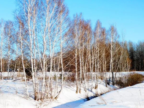 Natuur Altaya Behaagt Het Oog Van Kunstenaar Travellier — Stockfoto