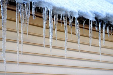 Bu köylerin Sibirya 'daki yerleşim yerlerinin çoğu