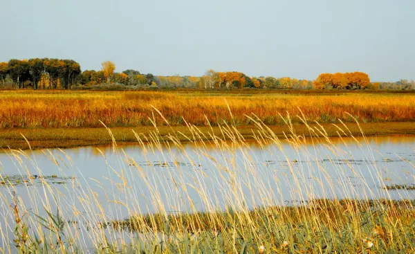 Natura Altaya Piace All Occhio Dell Artista Viaggiatore — Foto Stock