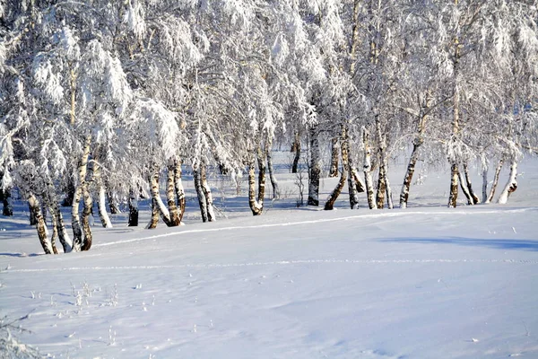 Nature Altaya Cieszy Oko Artysty Travellier — Zdjęcie stockowe