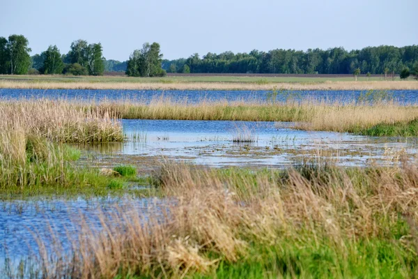 Természet altaya — Stock Fotó