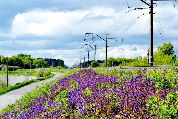 Koleje altaya — Zdjęcie stockowe