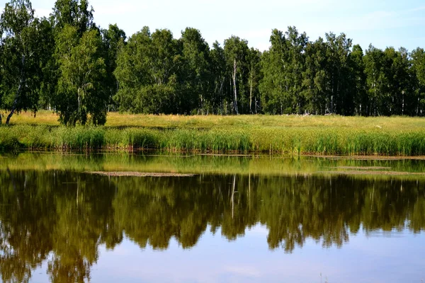 Natura altaya — Zdjęcie stockowe