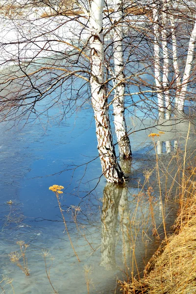 Nature Altaya — Photo