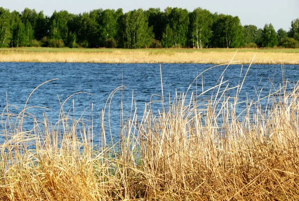 Natura altaya — Zdjęcie stockowe