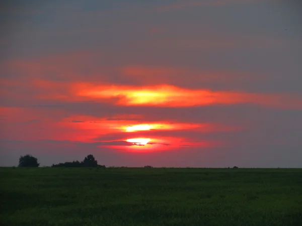 Natuur altaya — Stockfoto