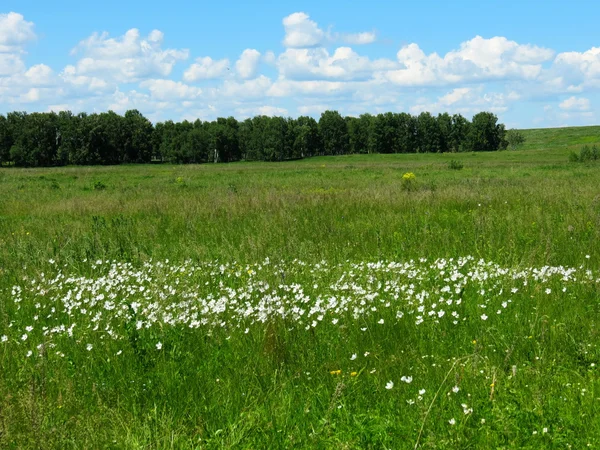 Natuur altaya — Stockfoto