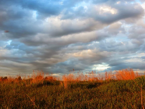 Natura Altaya — Foto Stock